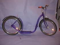 Champion 2 - skládací